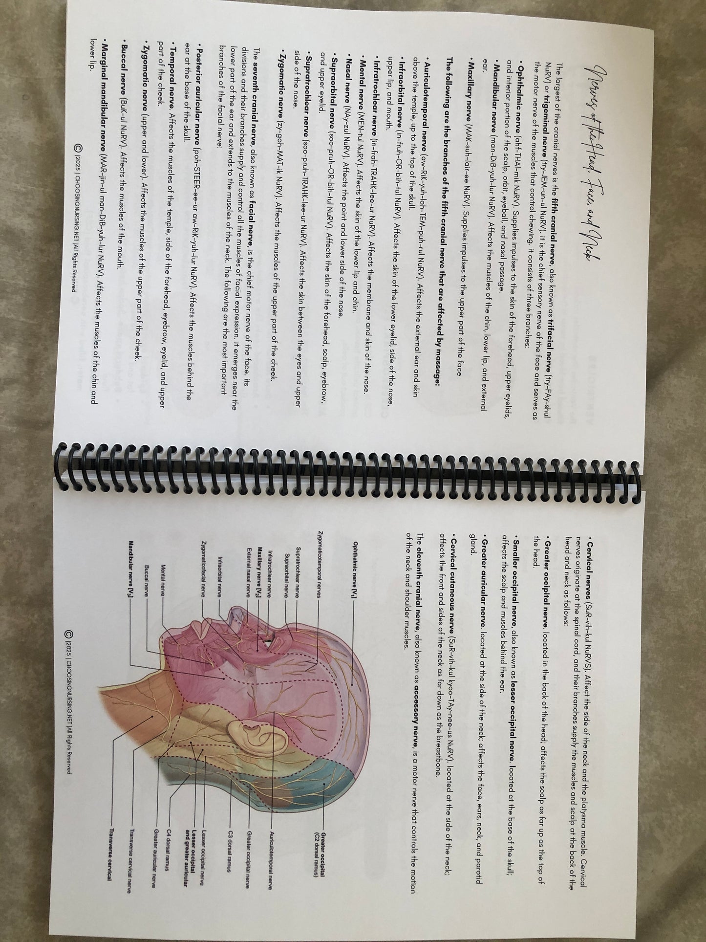 Anatomy & Physiology Student Handbook