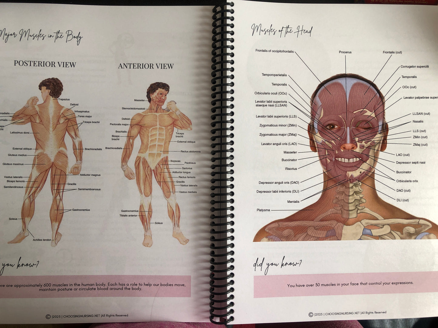 Anatomy & Physiology Student Handbook