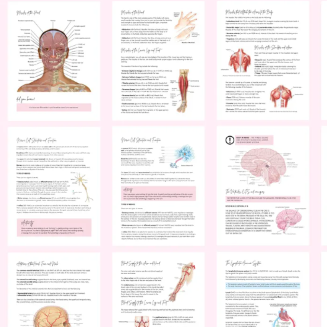 Anatomy & Physiology Student Handbook
