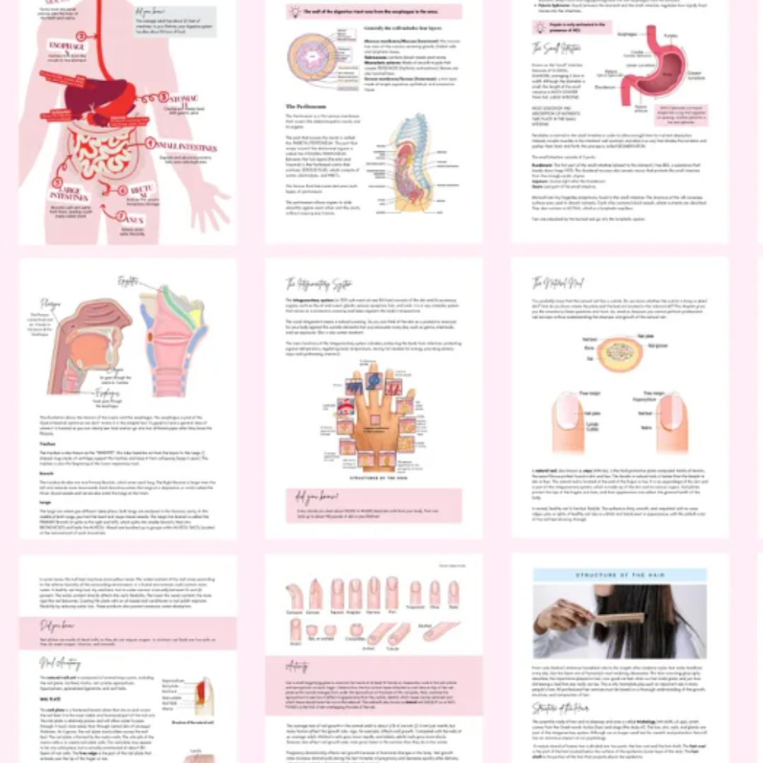 Anatomy & Physiology Student Handbook