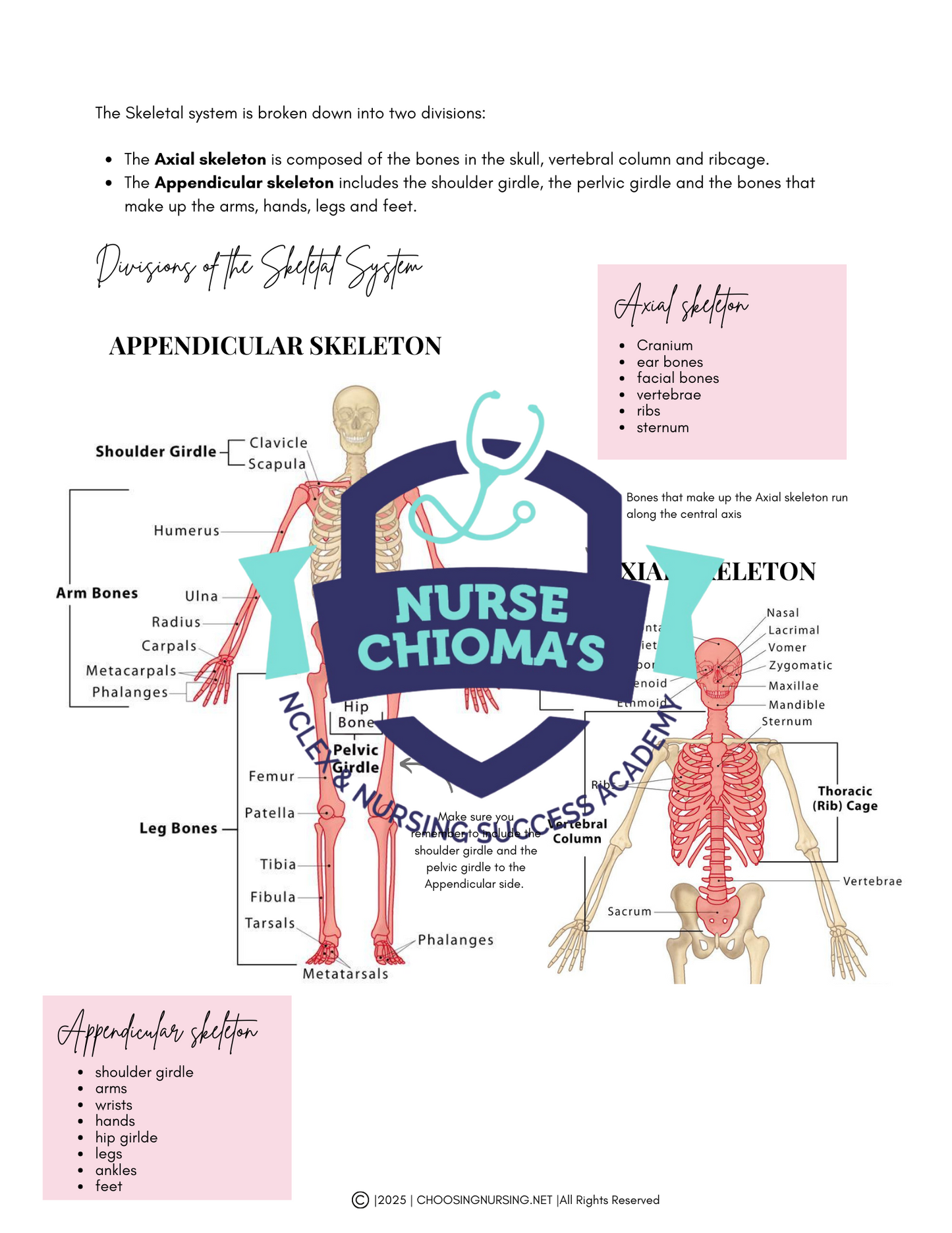 Anatomy & Physiology Student Handbook