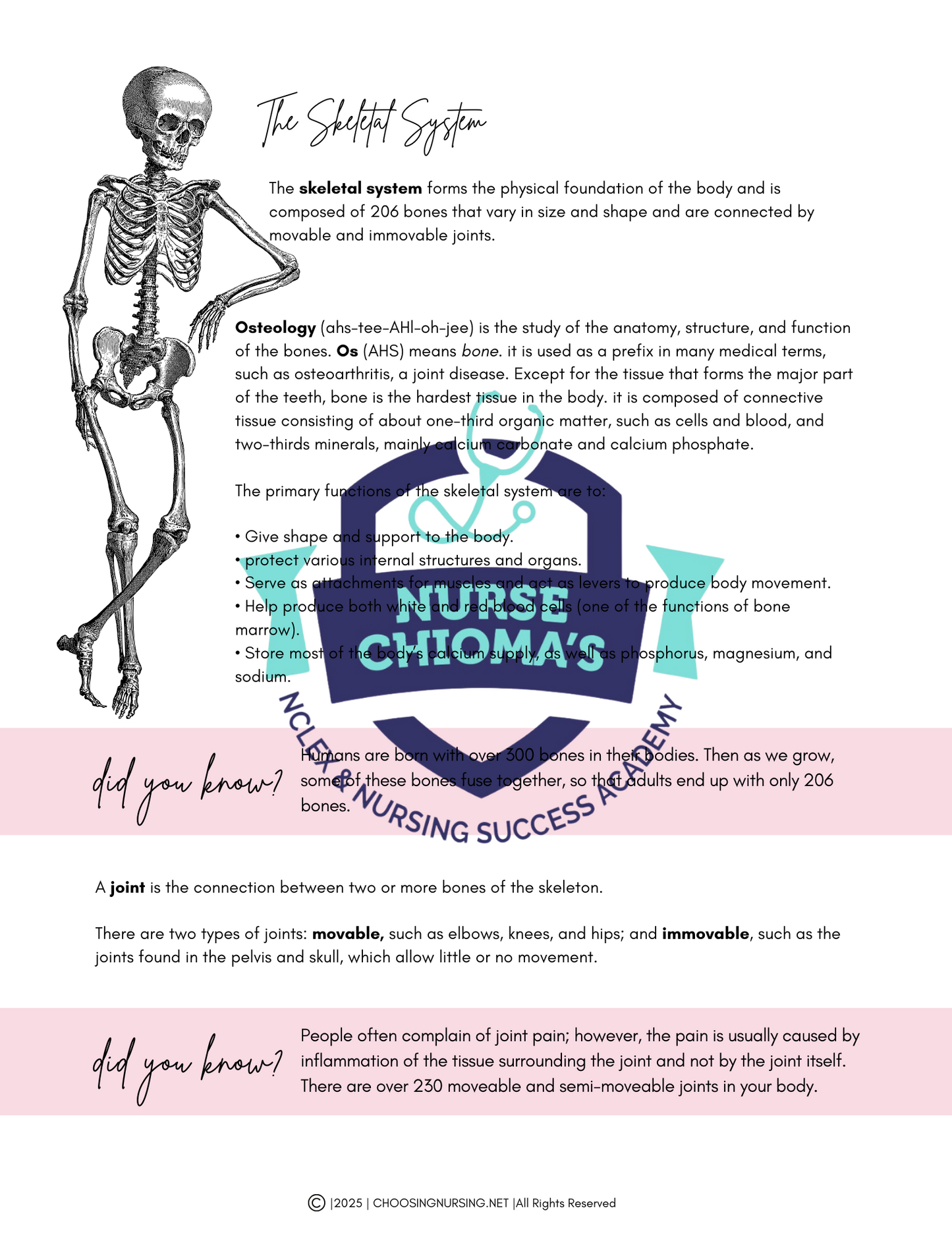 Anatomy & Physiology Student Handbook