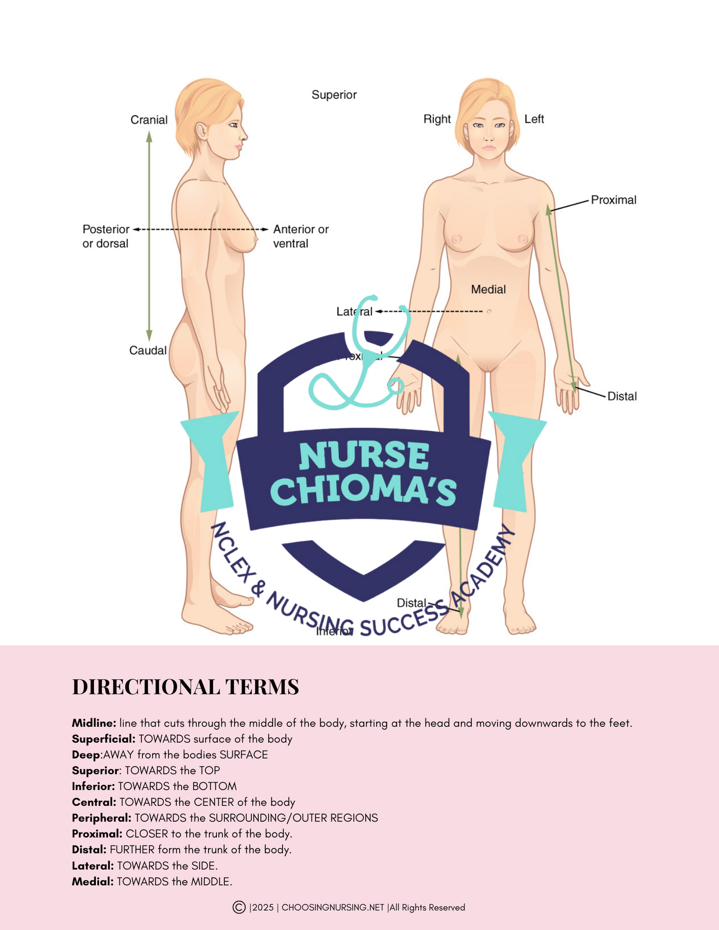 Anatomy & Physiology Student Handbook