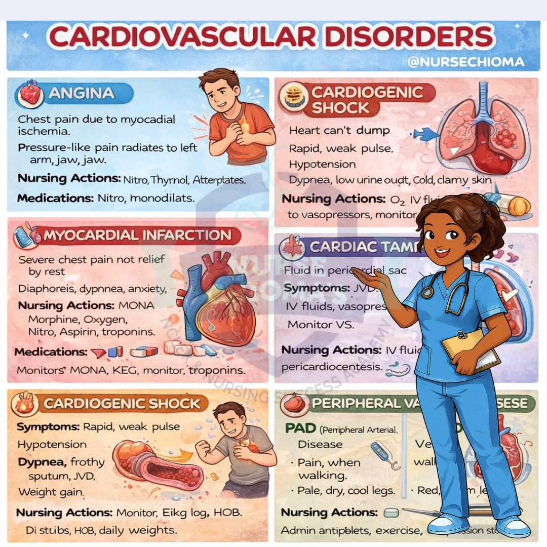 Nursing Systems & Lab Values Infographic Pack (Cardiac, Respiratory & Lab Values)