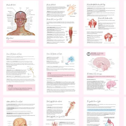 Anatomy & Physiology Student Handbook