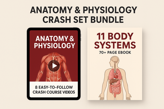 Anatomy and Physiology Crash Bundle [Limited Time Access]