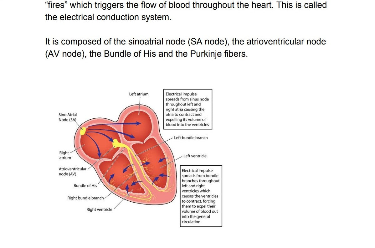 Understanding EKGs Guide- Ebook