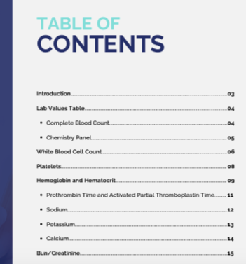 Lab Values Explained Digital E-Book + Video Tutorials