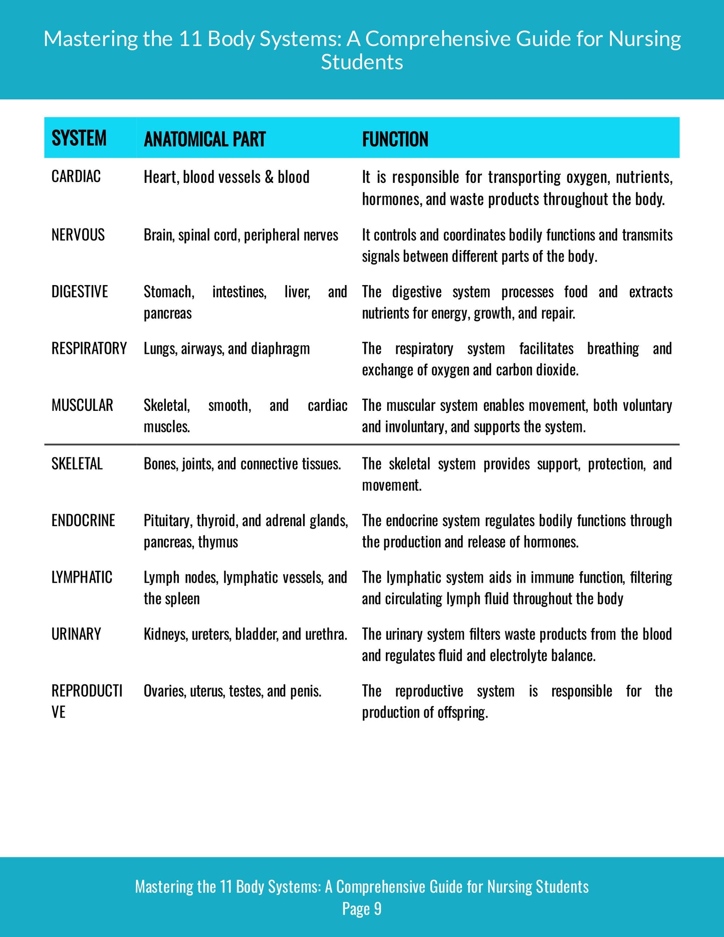 Mastering The 11 Body Systems Digital E-Book (Anatomy & Physiology)