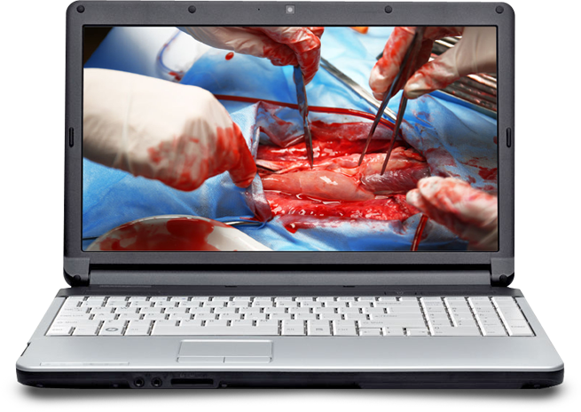 Medical Surgical/ Nursing School Course Bundle