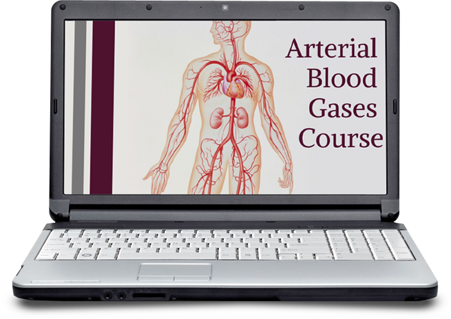 Medical Surgical/ Nursing School Course Bundle